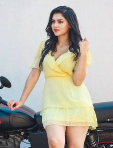 Bikaner call girl